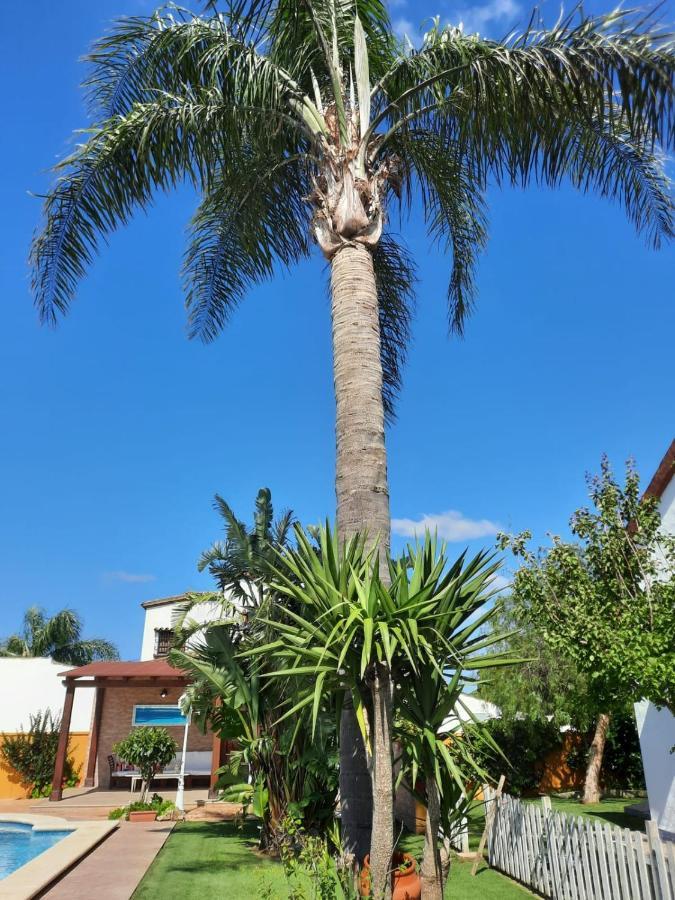 קוניל דה לה פרונטרה Chalet La Huerta Con Piscina Y Wifi מראה חיצוני תמונה